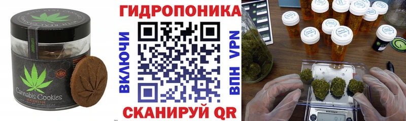 где можно купить   гидра вход  Canna-Cookies марихуана  Кинешма 