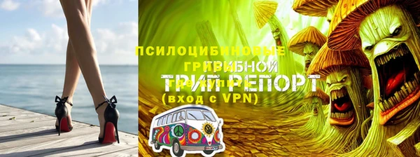 apvp Нефтекумск