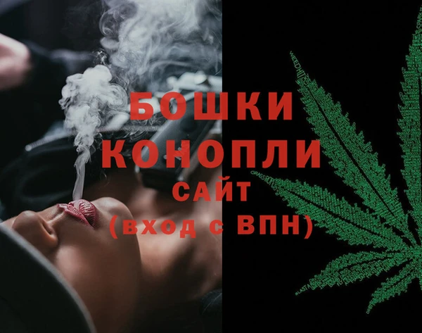 ГАЛЛЮЦИНОГЕННЫЕ ГРИБЫ Нея