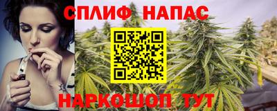 гашик Будённовск