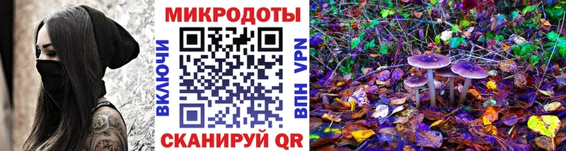 Галлюциногенные грибы Psilocybine cubensis Кинешма