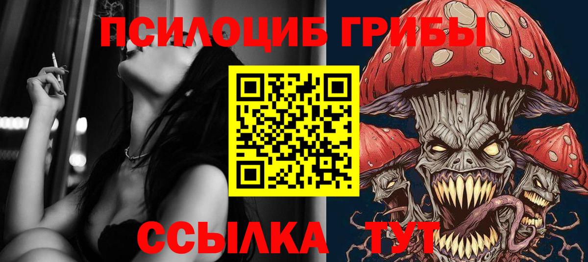 Галлюциногенные грибы Psilocybe Кинешма