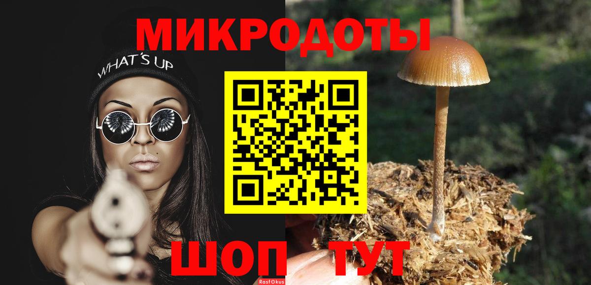Галлюциногенные грибы MAGIC MUSHROOMS Кинешма